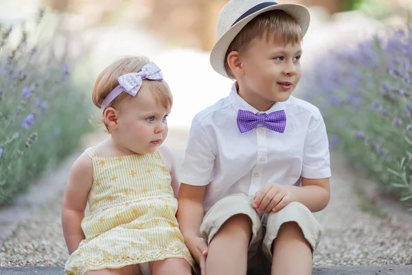 Little brother and little sister are sitting near the blooming lavender. Warm summer. Spring. — Stock Photo, Image