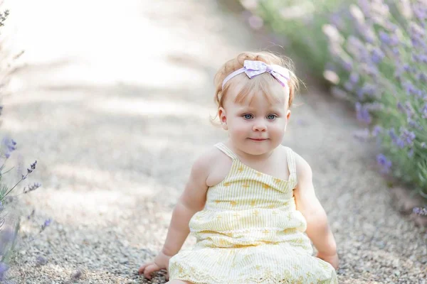 Little blue-eyed girl sitting near the blooming lavender. Warm summer. Spring. — Stock Photo, Image