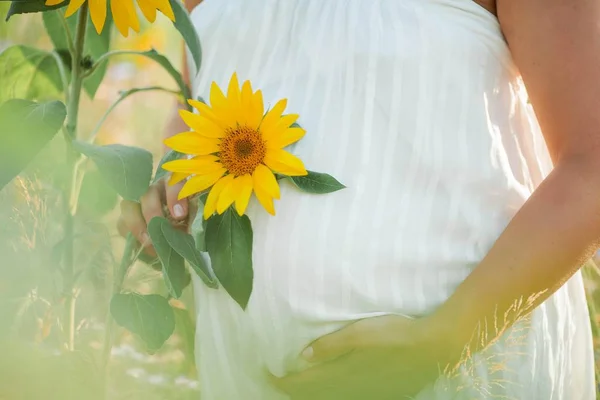 Close-up. Wanita cantik hamil di ladang bunga matahari. Potret seorang wanita hamil muda di bawah sinar matahari. Musim panas . — Stok Foto