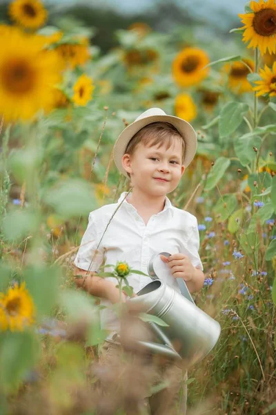 Un niño lindo de 5 años está regando flores en un campo de girasol. Verano . —  Fotos de Stock