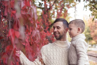 Baba ve mvlenky oğlu sonbahar parkta yürürken. Parlak, sıcak sonbahar. Kırmızı yaprakları. Rahat. Baba ve oğlu örme kazak portre.