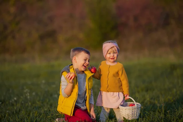 Liten söt pojke och flicka leker i höstträdgården. Broder och syster med röda äpplen. Varm och ljus höst. — Stockfoto