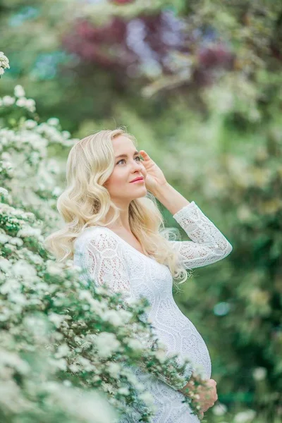 Joven Mujer Embarazada Hermosa Vestido Blanco Encaje Camina Parque Con —  Fotos de Stock