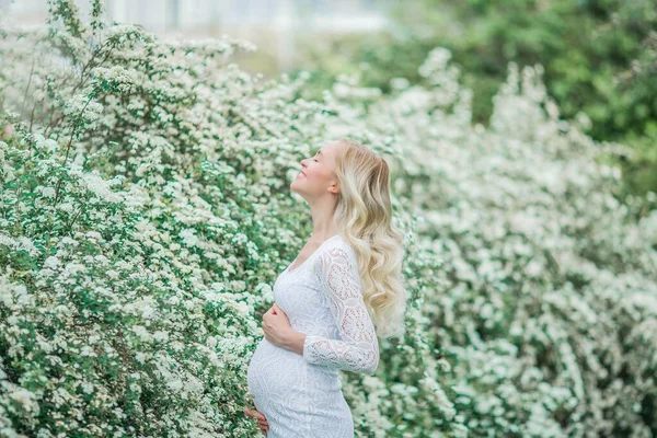 Ung Vacker Gravid Kvinna Spets Vit Klänning Promenader Blommande Park — Stockfoto