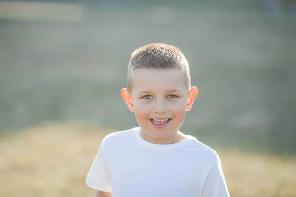 Portrét Malého Chlapce Slunečních Paprscích Roztomilý Chlapeček Prochází Parku — Stock fotografie