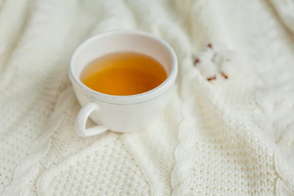 Кружка Горячего Чая Трикотажном Одеяле Уютная Осень Зимний Завтрак — стоковое фото