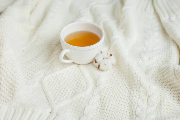 Ein Becher Heißer Tee Auf Einer Strickdecke Gemütlicher Herbst Winterfrühstück — Stockfoto