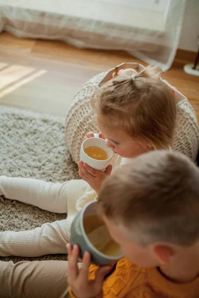 Broertje Zusje Gezellig Gebreide Truitjes Drinken Thuis Thee Portret Van — Stockfoto