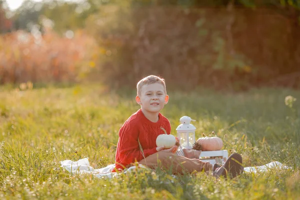 Szczęśliwe dziecko w czerwonym swetrze na jesiennym pikniku. Jesienny portret małego, przystojnego chłopca w wieku 6 lat. Ciepła jesień. — Zdjęcie stockowe