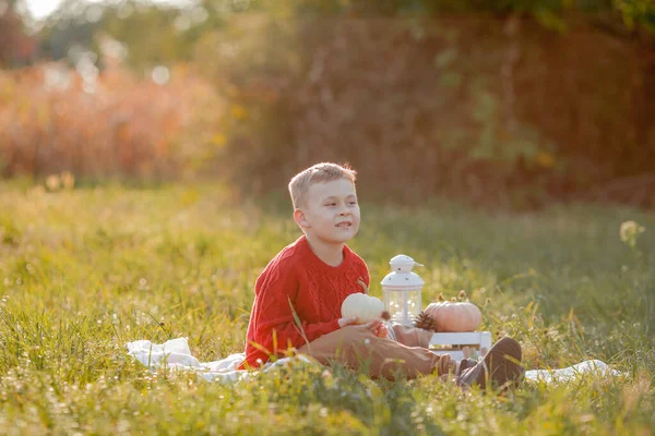 Šťastné dítě v červeném pleteném svetru na podzimním pikniku. Podzimní portrét malého pohledného chlapce, 6 let. Teplý podzim. — Stock fotografie