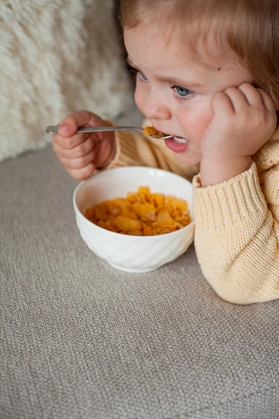 Een schattig klein meisje van 2 jaar oud in een gezellig gebreide trui zit op de bank te ontbijten. Gezellig. Vallen.. — Stockfoto