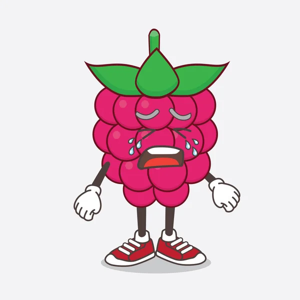 Uma Ilustração Raspberry Fruit Personagem Mascote Cartoon Com Expressão Chorando — Vetor de Stock