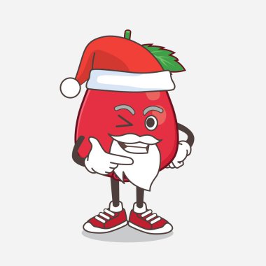 Gülen yüzlü Rose Hip Fruit çizgi film Noel Baba maskotu karakteri.