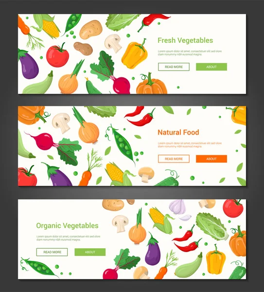 Alimento natural - conjunto de carteles vectoriales coloridos modernos — Archivo Imágenes Vectoriales