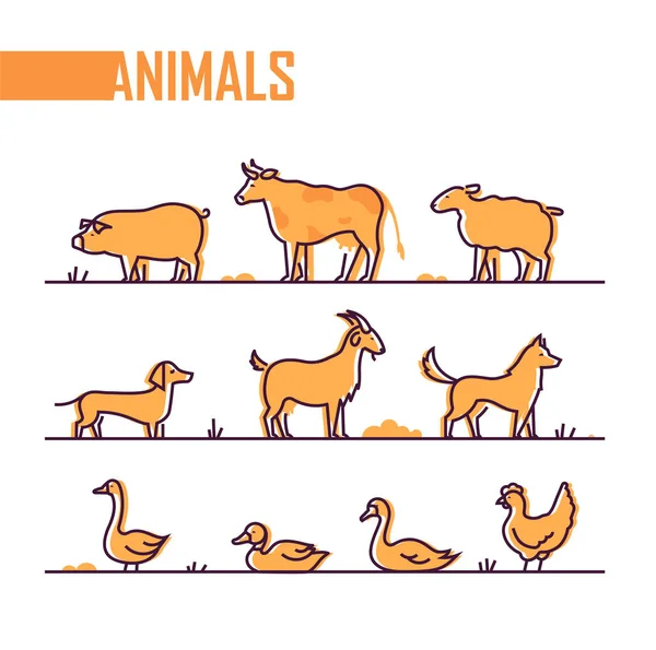 Набор сельскохозяйственных животных - красочная иллюстрация стиля линии — стоковый вектор