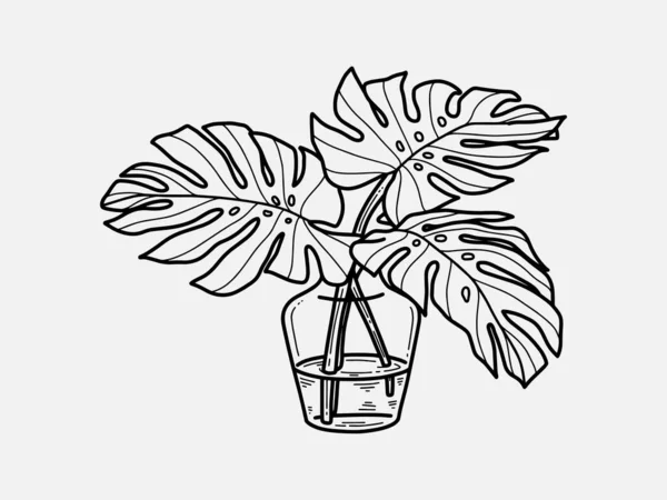 Handritad Monstera Inomhus Burk Skandinavisk Stil Illustration Med Monstera Modern — Stock vektor