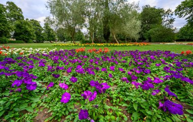 Beckenham (Büyük Londra), Kent / UK. Beckenham 'daki Croydon Road Recreation Ground' da bulunan mor çiçekler arasında ağaçlar, bir çocuk oyun alanı ve tenis kortları da yer alıyor..