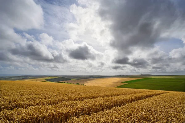 South Downs National Park Sussex England 근처의 밭에서는 남해안과 해협을 — 스톡 사진