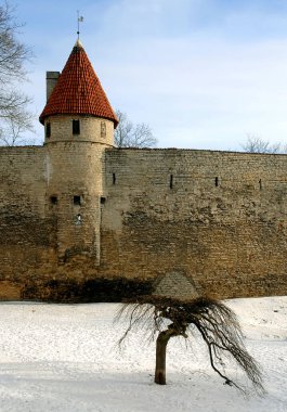 Estonya 'daki Tallinn tahkimatı boyunca yer alan pek çok küçük kulede. Bu eski kuleler Tallinn eski kasabasını çevreleyen şehir duvarının bir kısmını oluşturuyor. Ön planda ağaç ve kar.