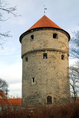 Kiek in de Kok, Estonya 'daki Tallinn kalelerinin bir kısmını oluşturan bir kuledir. Tallinn 'in eski kasabasını çevreleyen duvarın bir kısmını oluşturan eski bir topçu kulesi..
