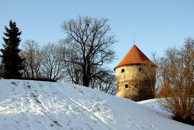 Kiek in de Kok, Estonya 'daki Tallinn kalelerinin bir kısmını oluşturan bir kuledir. Tallinn 'in eski kasabasını çevreleyen duvarın bir kısmını oluşturan eski bir topçu kulesi. Kışın kar yağarken.