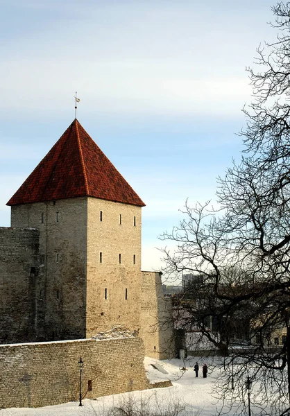 Maiden Tower veya Neitsitorn, Estonya 'daki Tallinn kalelerinin bir kısmını oluşturan bir kuledir. Tallinn eski kasabasını çevreleyen duvarın bir kısmını oluşturur..