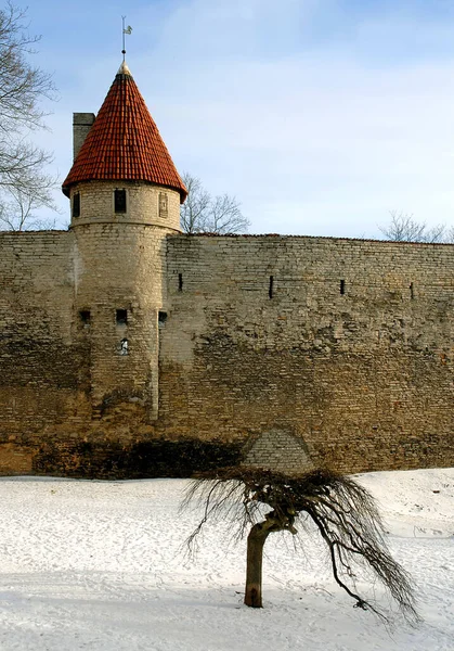 Molte Piccole Torri Che Trovano Lungo Fortificazioni Tallinn Estonia Queste — Foto Stock