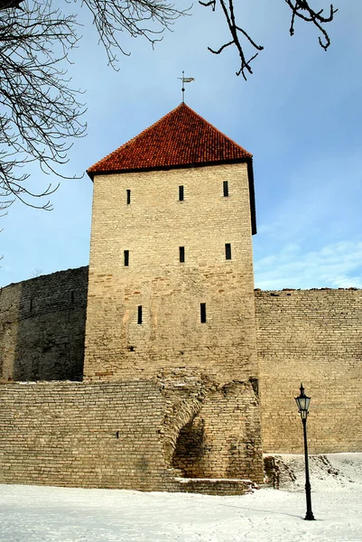 Maiden Tower veya Neitsitorn, Estonya 'daki Tallinn kalelerinin bir kısmını oluşturan bir kuledir. Tallinn eski kasabasını çevreleyen duvarın bir kısmını oluşturur..