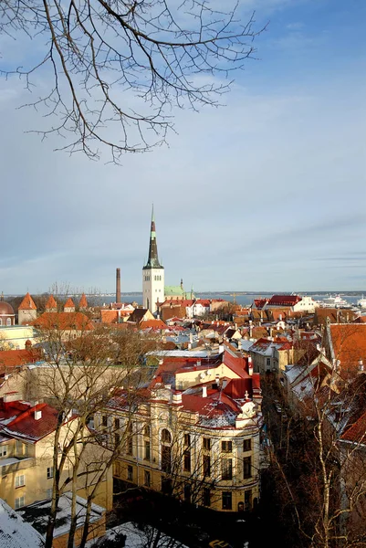 エストニアの首都タリン 古い建物を示すタリンの旧市街をご覧ください 背の高い尖塔は聖オラフ教会で タリンの旧市街の壁の一部が見えます — ストック写真