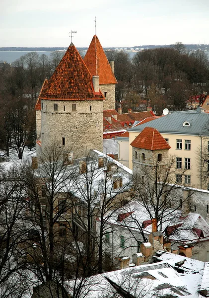 Eski Tallinn Kasabası, Estonya 'ya bakın. Tallinn' in eski şehir duvarının bir kısmını kuleleriyle gösteriyor. Tallinn popüler bir turizm merkezidir..