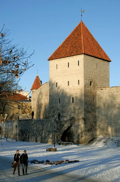 Tallinn, Estonya 'nın başkenti. Maiden Tower veya Neitsitorn, Estonya 'daki Tallinn kalelerinin bir kısmını oluşturan bir kuledir. Tallinn 'in eski şehrinin duvarında insanlar yürüyor..