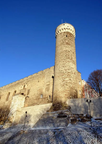 Pikk Hermann (Uzun Hermann Kulesi) Estonya 'daki Tallinn kalelerinin bir kısmını oluşturan kuledir. Tallinn eski kasabasını çevreleyen duvarın bir kısmını oluşturur. Kışın kar yağarken.
