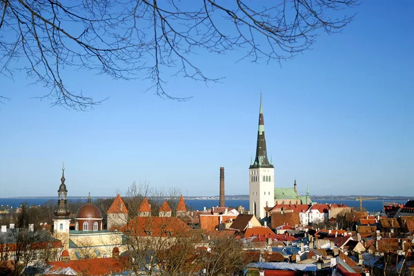 Tallinn 'in Eski Kasabası' na bak. Eski binaları gösteriyor. Yüksek kule Aziz Olaf Kilisesi 'dir ve Tallinn' in eski şehir duvarının bir kısmı görülebilir..