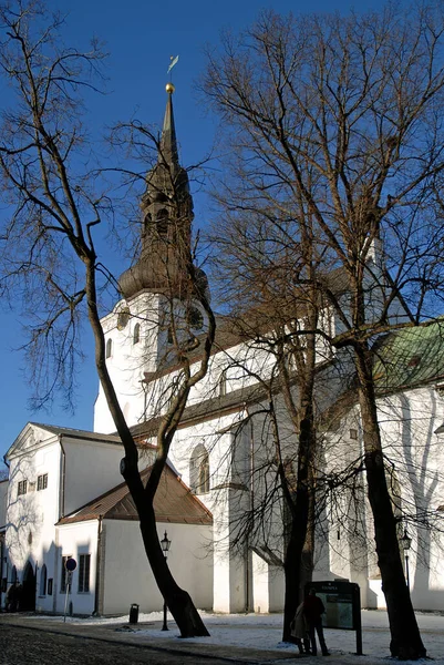 Marienkathedrale Oder Domkirche Tallinn Estland Das Hotel Liegt Auf Dem — Stockfoto