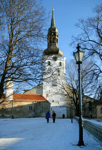 Marienkathedrale Oder Domkirche Tallinn Estland Das Hotel Liegt Auf Dem — Stockfoto