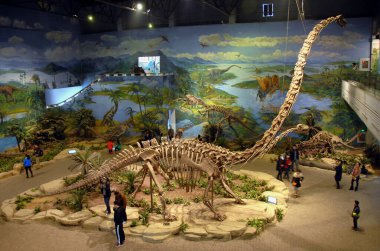 Çin 'in Sichuan kentindeki Zigong Dinozor Müzesi dünyadaki en fazla sayıda dinozor fosilini barındırdığını iddia ediyor. Hareket bulanıklığı olan Zigong Dinozor Müzesi 'nin iç görünümü.
