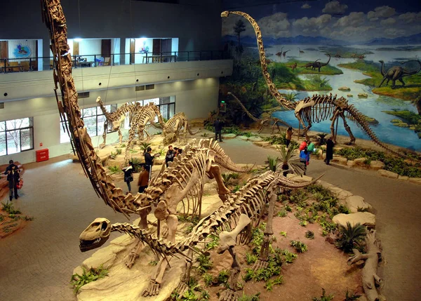 Çin Sichuan Kentindeki Zigong Dinozor Müzesi Dünyadaki Fazla Sayıda Dinozor — Stok fotoğraf