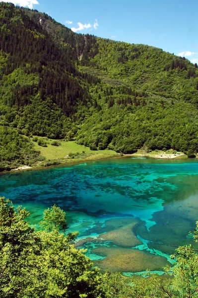 四川九村 九村谷地 五花湖景 — 图库照片