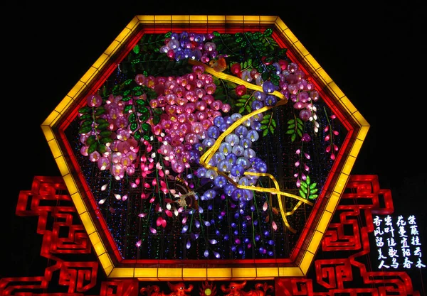 自貢ランタンフェスティバル 四川省 中国で これは中国最大の提灯祭りの一つであり 中国の旧正月の周りに祝われます 可愛い花を表すランタンディスプレイ — ストック写真