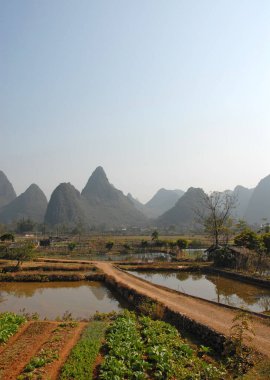 Guangxi, Guangxi 'de Guilin, Yangshuo yakınlarındaki Yulong Nehri' nin manzarası. Yangshuo yakınlarındaki yerel bir çiftlikte karst dağları arkasında sebze yetiştiriyor..