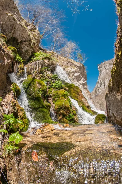 Bahar başında Balkanlar 'da yüksek su seviyesi. Küçük şelaleler aşağı eğilimli. Islak taşlar yeşil yosun ile kaplıdır. Gökyüzü parlak mavi. Karadağ