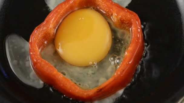 Hacer Huevo Frito Anillo Pimiento Dulce Rojo Especias Añadidas — Vídeo de stock