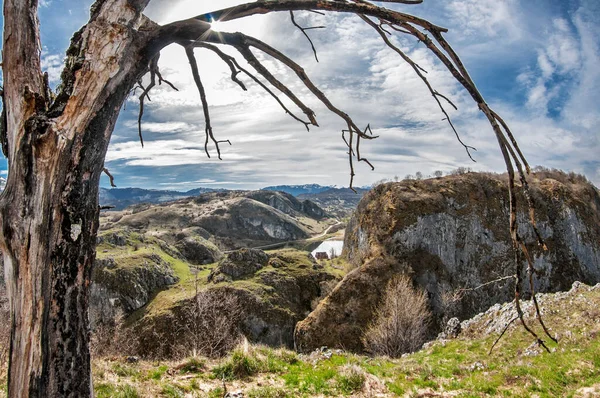 Karadağ 'ın dağlarında ilkbaharın başlarında. Ön planda kuru bir ağaç var. Mavi gökyüzü bulutların arasından görünür..