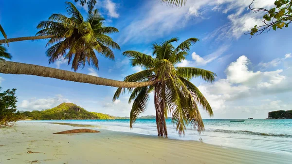 Een Zonnige Ochtend Het Zand Van Het Strand Gladgestreken Door — Stockfoto