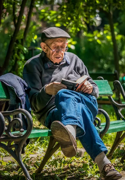 Bucharest Romania 2020 Old Man Sitting Bench Cismigiu Park Reading Royalty Free Stock Images