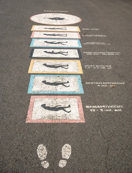 A chidren\'s game showing the evolution of man painted on the pavement n a park.
