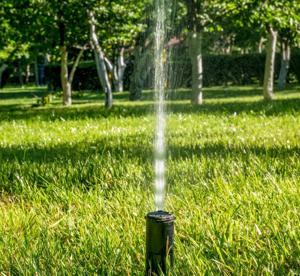 Lawn or garden water sprinkler spraying water over grass.
