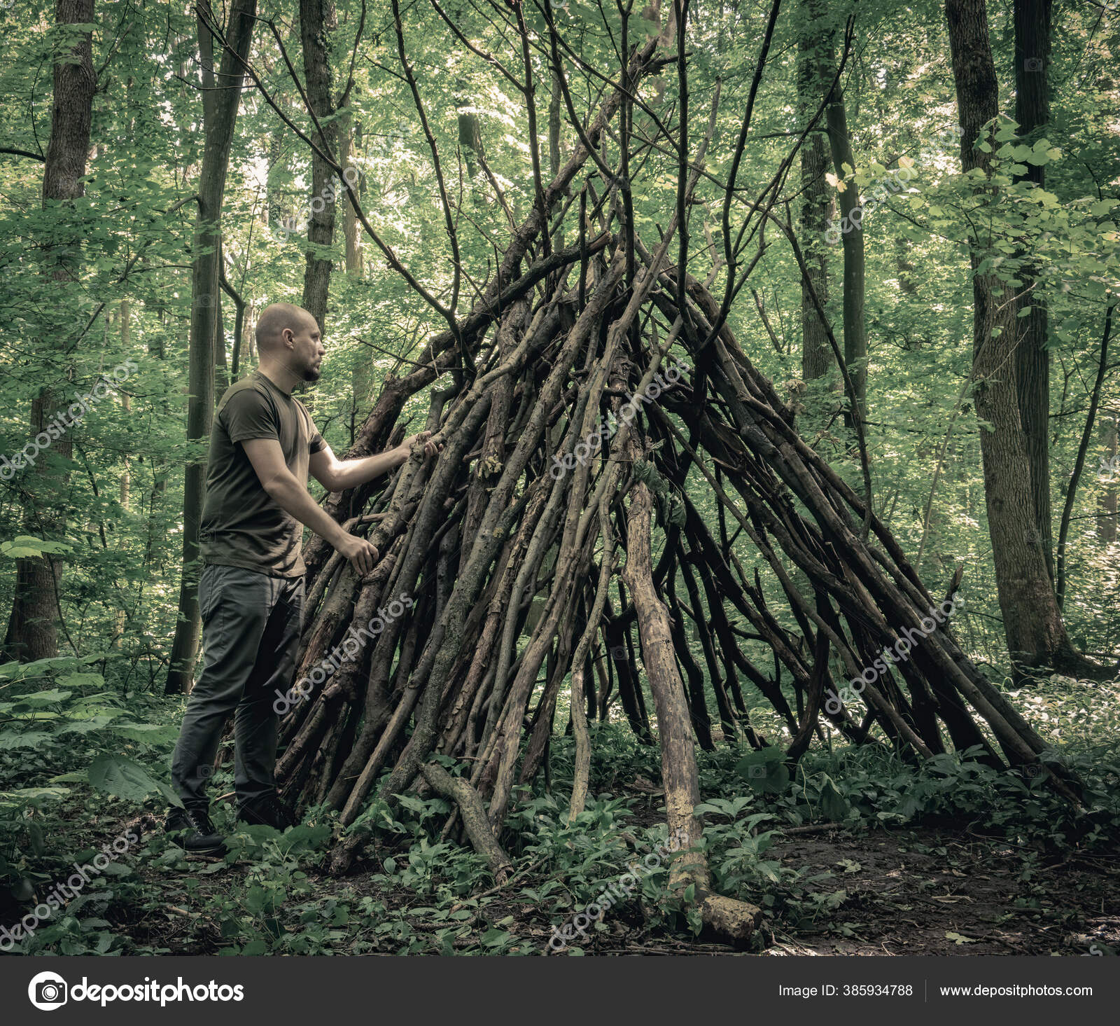 Hombre Construyendo Refugio Supervivencia Bosque Refugio Bosque Ramas  Árboles: fotografía de stock © CristiCroitoru #385934788