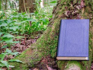 Yeşil yosun kaplı bir ağacın yanında siyah deri kapaklı bir kitap..