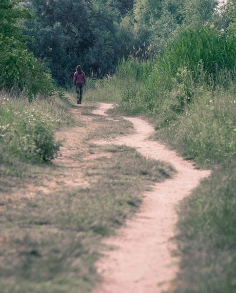 Chica Solitaria Caminando Por Sendero Rodeado Árboles Hierba Alta Camino — Foto de Stock